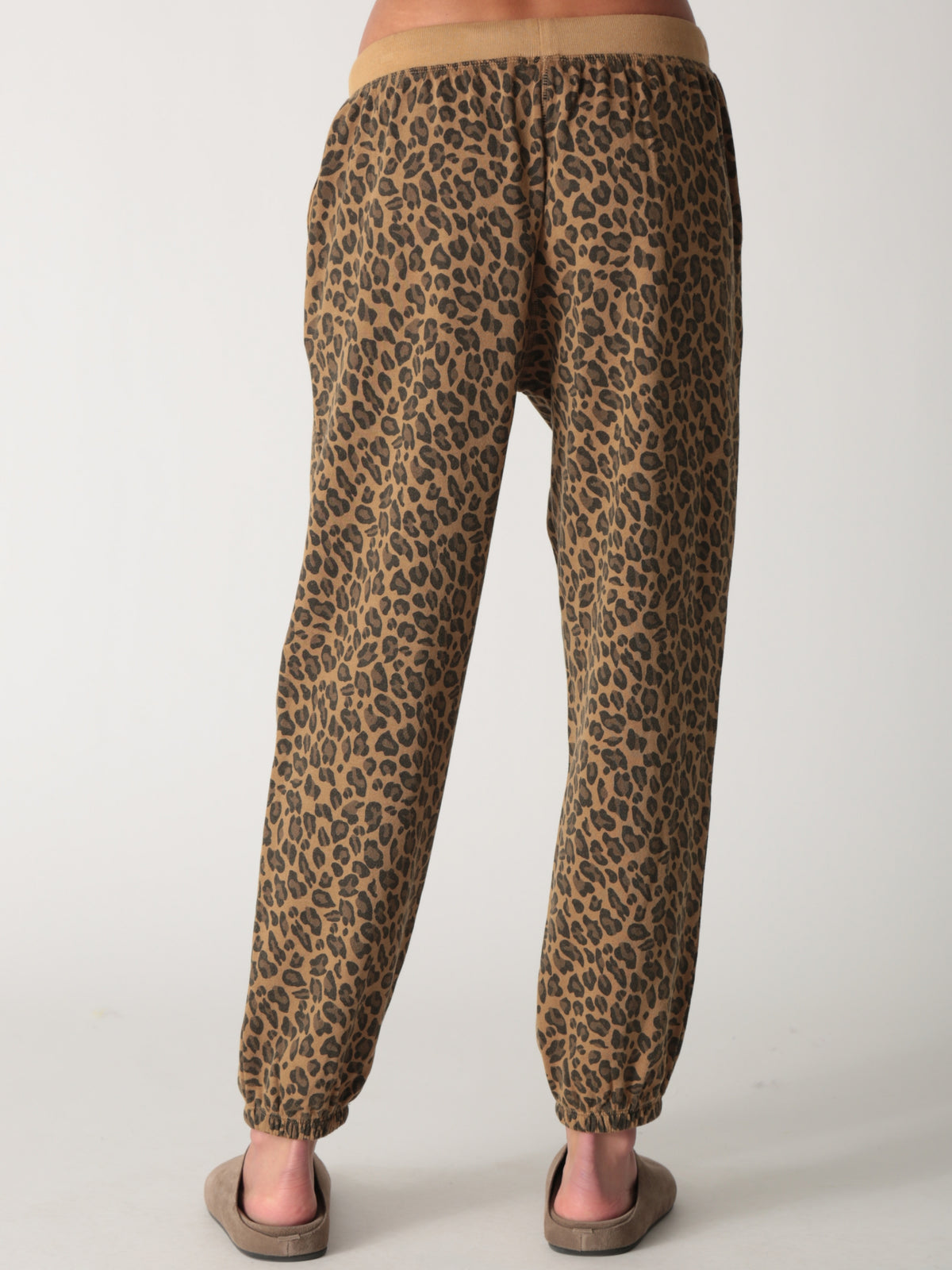Classic Jogger - Leopard