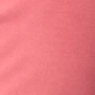 Classic Sweatshirt - Poppy