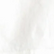 Ivory color swatch