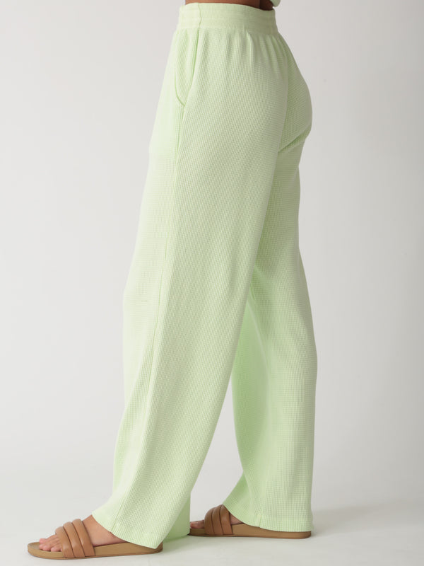 Tanner Thermal Pant - Lime